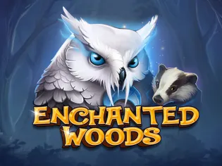 Enchanted Woods cover